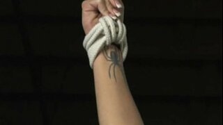 Хармонија - Тренинг курве - Дугометражни филм